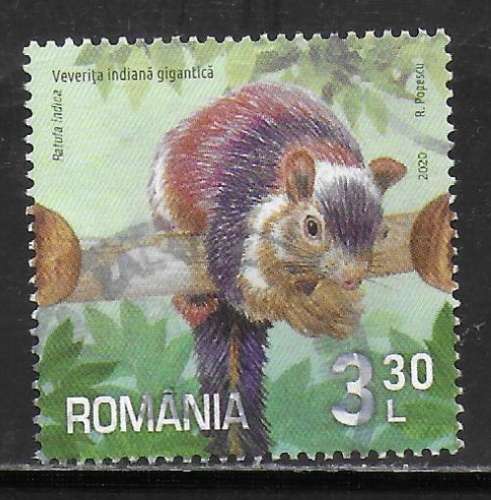 Roumanie - Y&T n° 6573 - Oblitéré / Used  - 2020
