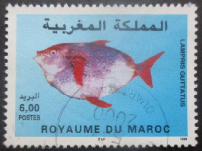 MAROC N°1247 oblitéré
