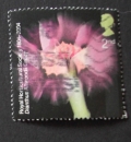 GB 2004 Royal Horticultural Society 2nd YT 2559 / SG 2456