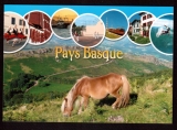miniature  France Cpm   Pays Basque -  multivues - chevaux -  Le pottok 