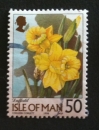 Isle of Man 1998 YT 790