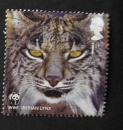 GB 2011 World Wildlife Fund Iberian lynx  YT 3455