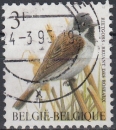 Timbre