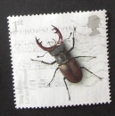 GB 2008 INSECTS 1st Stag Beetle   YT 3013