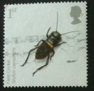 GB 2008 INSECTS 1st Field Cricket   YT 3015