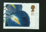 GB 2009 Flower Arranging Societies (self-adhesive on paper)  YT 3163