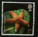 GB 2007 SEA LIFE Common Starfish YT 2846 / SG 2700