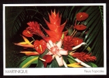 miniature France Cpm Martinique fleurs tropicales