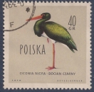 POLOGNE 1960 : yt 1073 Oblitéré/Used # Cigogne noire