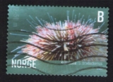 Timbre