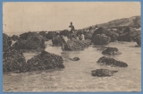 CPA TROUVILLE  Pêche aux moules Conv.L.Glos Montfort à Lisieux 1905 TB