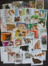 35 timbres dfférents CHAT dt séries CAT
