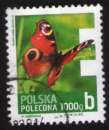 Pologne 2013 Oblitéré rond Used Papillon Butterfly motyl rusalka pawik 1000 g