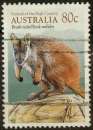 3339 - Y&T n°1150 - oblitéré - Petrogale penicillata - Wallaby - 1990 - Australie