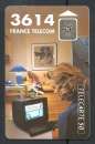 Télécarte - F290 - 50 unités - 3614 France télécom - année 1991