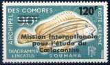Enchère