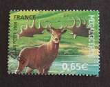 France 2008 Megaloceros YT 4177