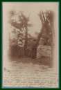 CPA PHOTO Obl NICE 1904 > TUNISIE écrite par l'auteur de la photo Marguerite