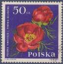 POLOGNE 1964 : yt 1397 Oblitéré/Used # Fleur - Narcisse
