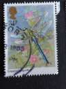 GB 1985 Insects  34p YT 1177 / SG 1281