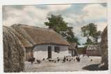 Timbre
