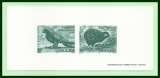 France Gravure 3360 / 1 Faucon Kiwi oiseau rapace