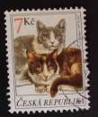 République Tchèque 1999 chats YT 201