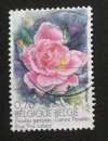 Belgique 2005 YT 3369