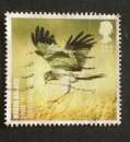 GB 2007 BIRDS Marsh Harrier  YT 2926