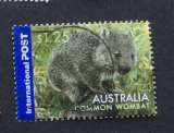  Australia 2006 wombat