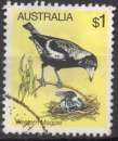 636 - Y&T n° 708 -  oblitéré - Gymnorhina dorsalis - 1980 - Australie