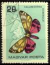 HONGRIE 1966 Y&T 1790 (o) PAPILLONS