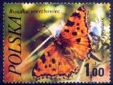 POLOGNE 1977 Y&T 2346 (o) PAPILLON