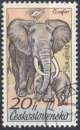 C448N - Y&T n° 2182 - oblitéré - Elephant et son petit - 1976 - Tchécoslovaquie