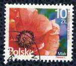 Pologne 2016 Oblitéré rond Used Flowers Fleurs Mak Papaver Pavot