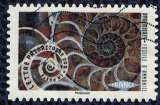 Timbre