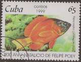 CUBA 1999 : yt 3803 Oblitéré/Used # Poisson - Hypoplectrus gummigutta