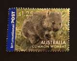  Australia 2006 wombat