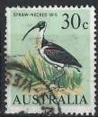 Australie - 1966-70 - Y & T n° 334 - Ibis, dit cou de paille - O.