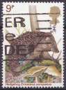 Timbre