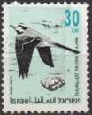 E432N - Y&T n° 1195 - oblitéré - Bergeronnette grise - 1992 - Israël