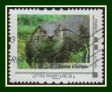 Collector Loutre d' Europe Obl 