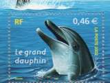Enchère