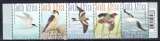 miniature Afrique du Sud 2014 YT 1838-1842 MNH Oiseaux en danger (2)