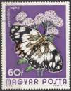 A515N - Y&T n° 2395 - oblitéré - Papillon - Melanargia galathea - 1974 - Hongrie