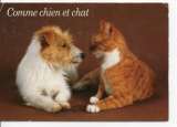 cpm animaux chien et chat