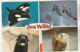 miniature Cpm USA Sea World  animaux marins 