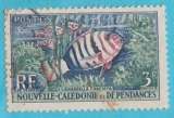 NOUVELLE CALEDONIE n° 292 oblitéré °