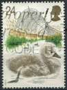 Timbre