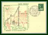 Entier repiqué BEZIERS BT Expo Philat'Eg 1977 raisin vigne 